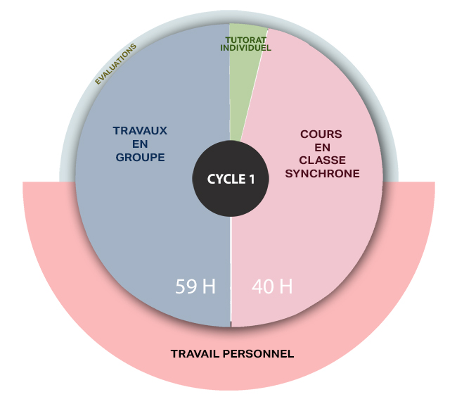 le cycle 1